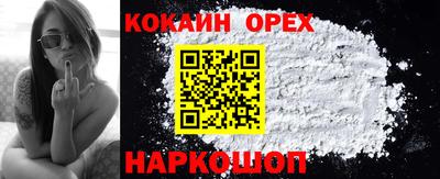 стаф Вязьма
