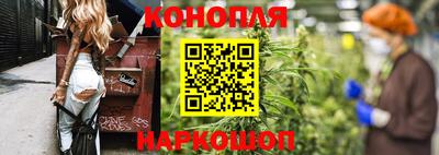 стаф Вязьма