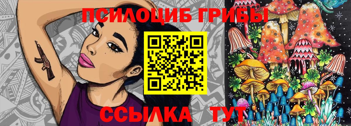 Галлюциногенные грибы Psilocybe Асбест